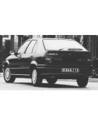 RENAULT 19