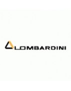 Venta online de recambios para Lombardini en arfiguerola.com